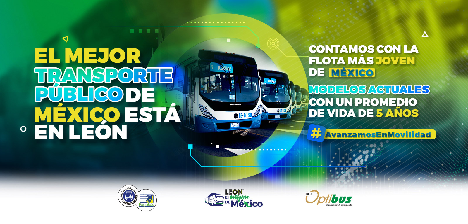 Banner Web